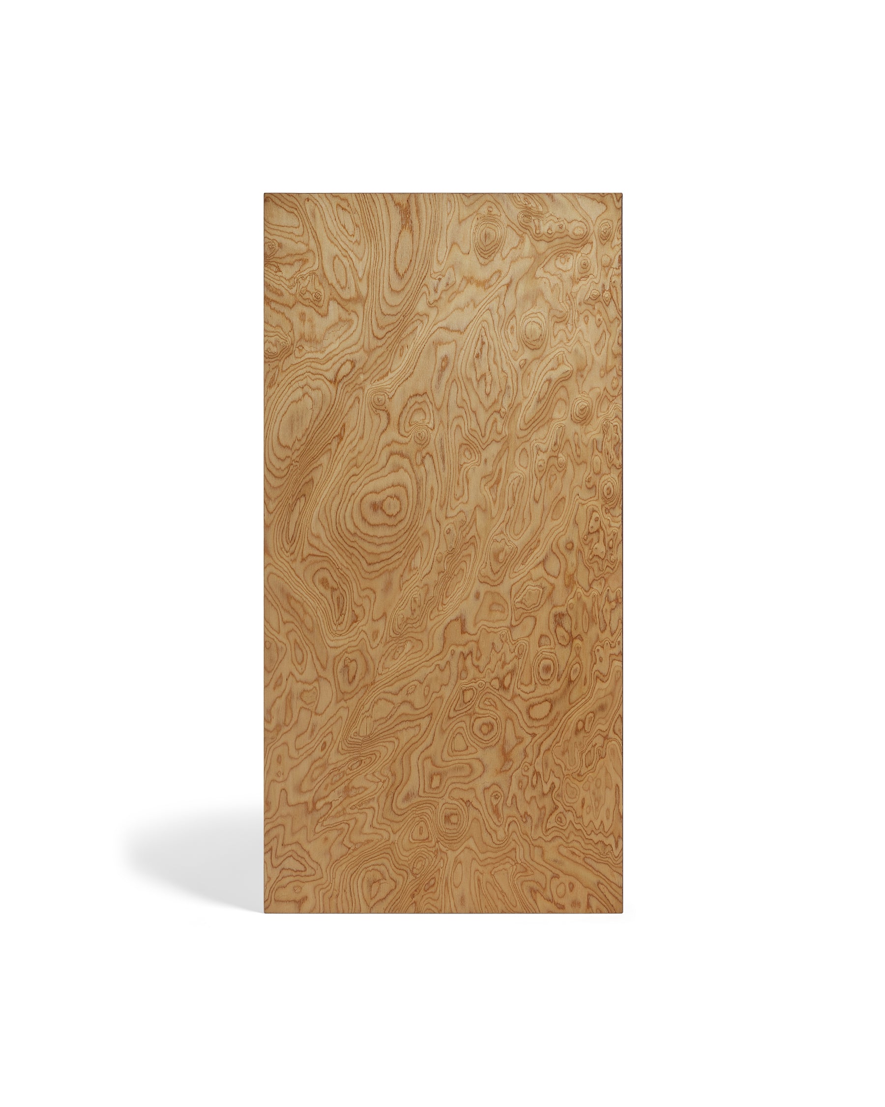 Y210 Loudspeakers (Light Walnut Burl) additional image 5